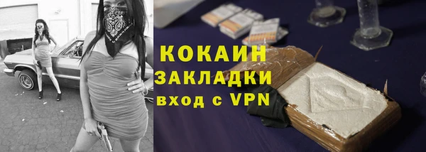 амф Горняк