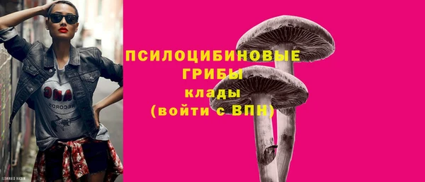 прущая мука Горно-Алтайск