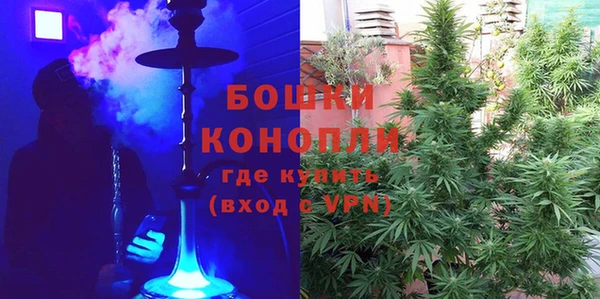 амф Горняк
