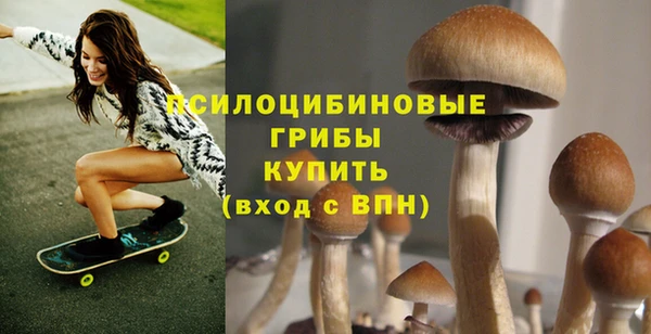 ECSTASY Волоколамск