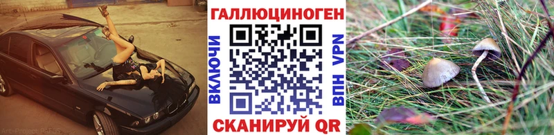 Псилоцибиновые грибы MAGIC MUSHROOMS  Ува 